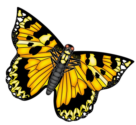 27" Butterfly Kite - Swallowtail